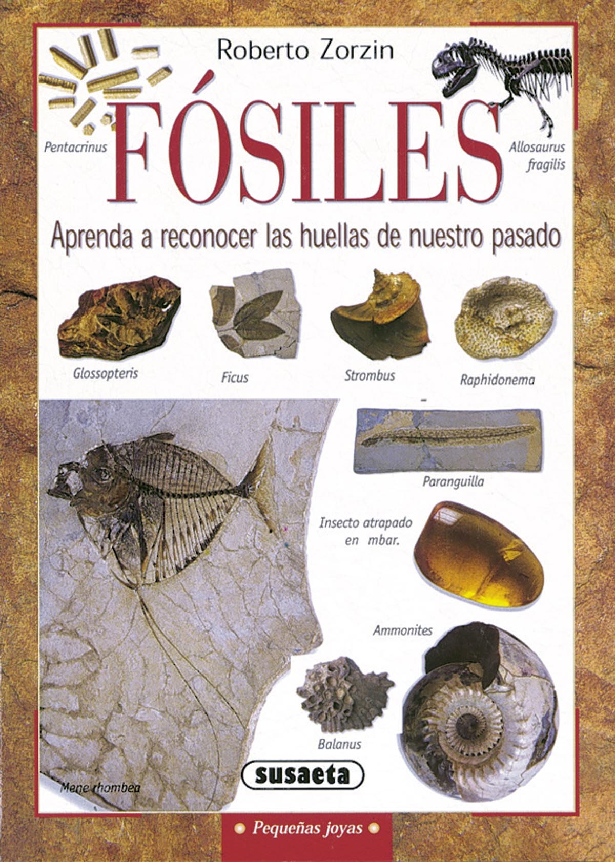 Fsiles