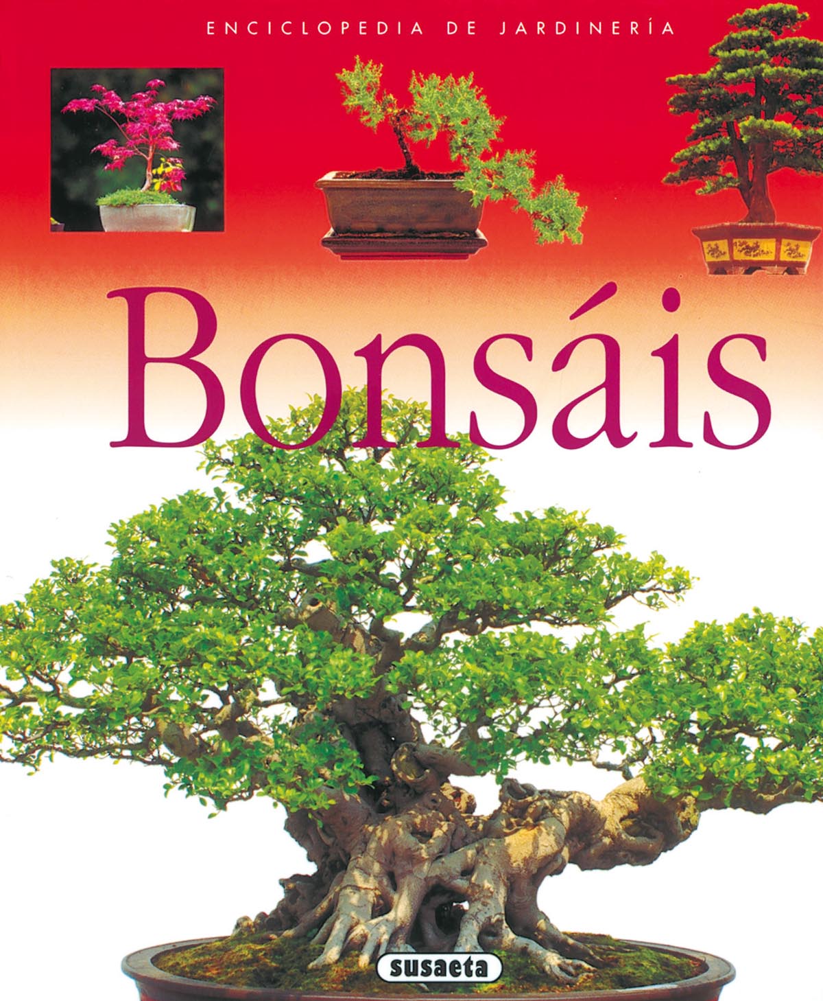 Bonsis