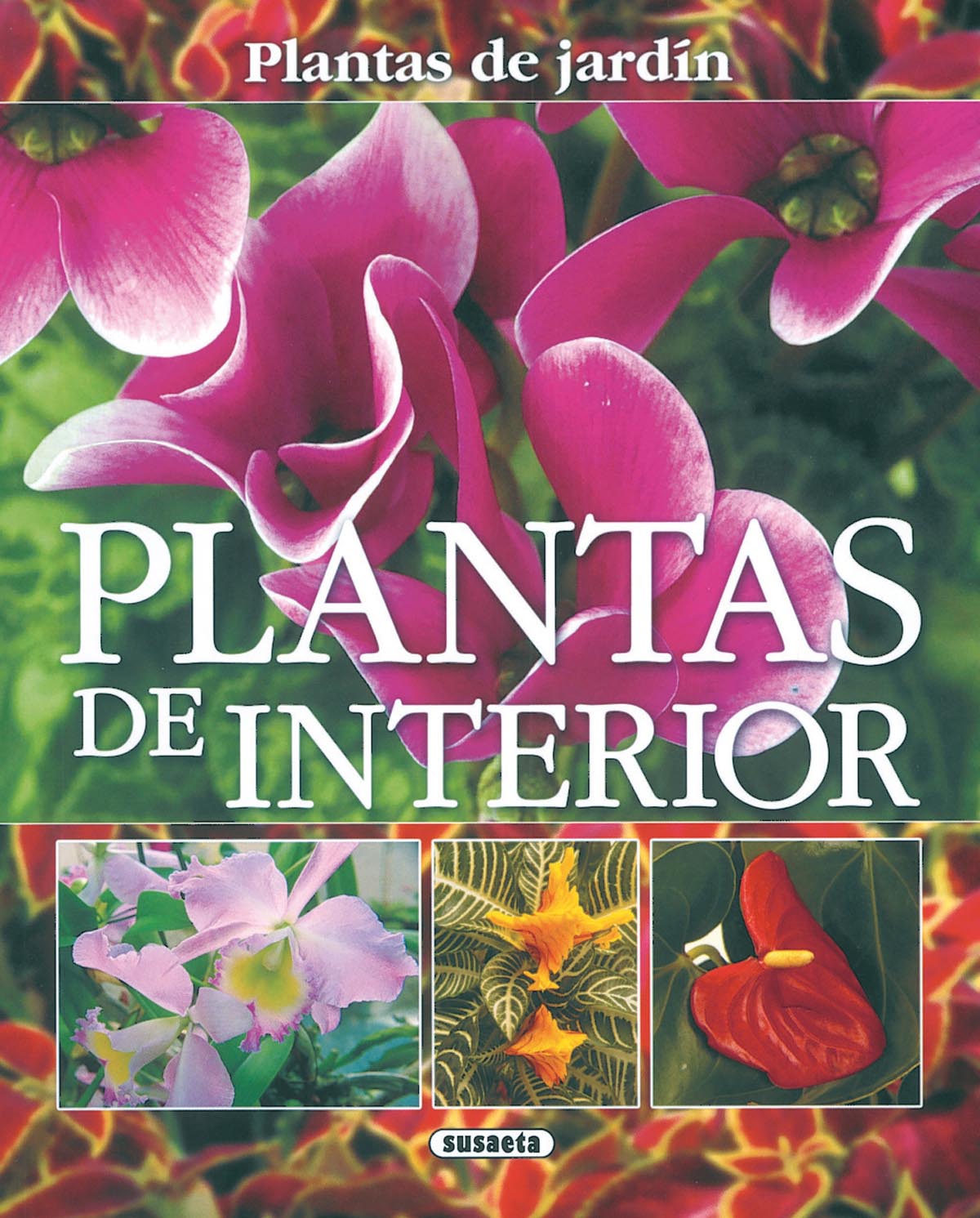 Plantas de interior