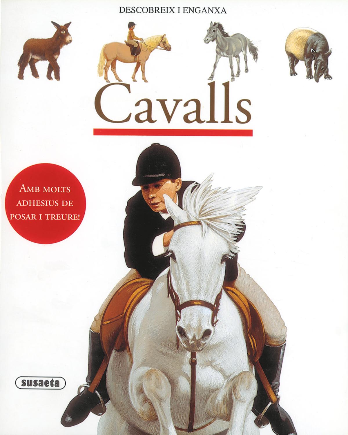 Cavalls