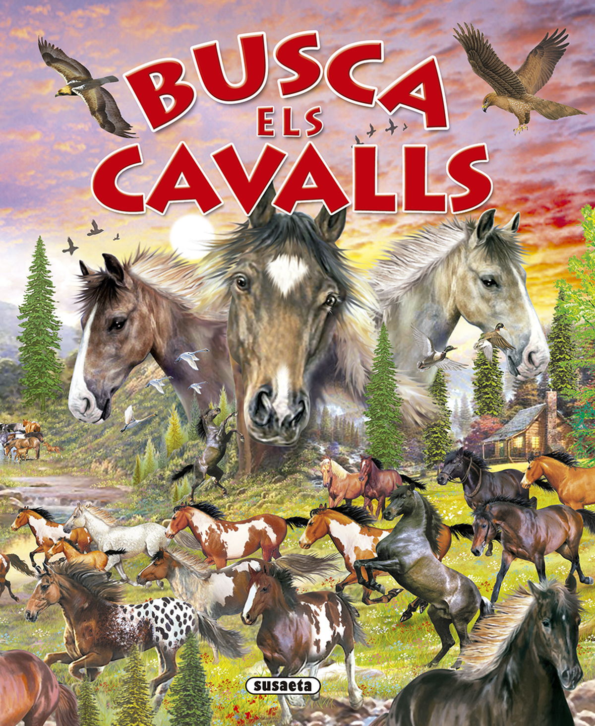 Busca els cavalls i ponis