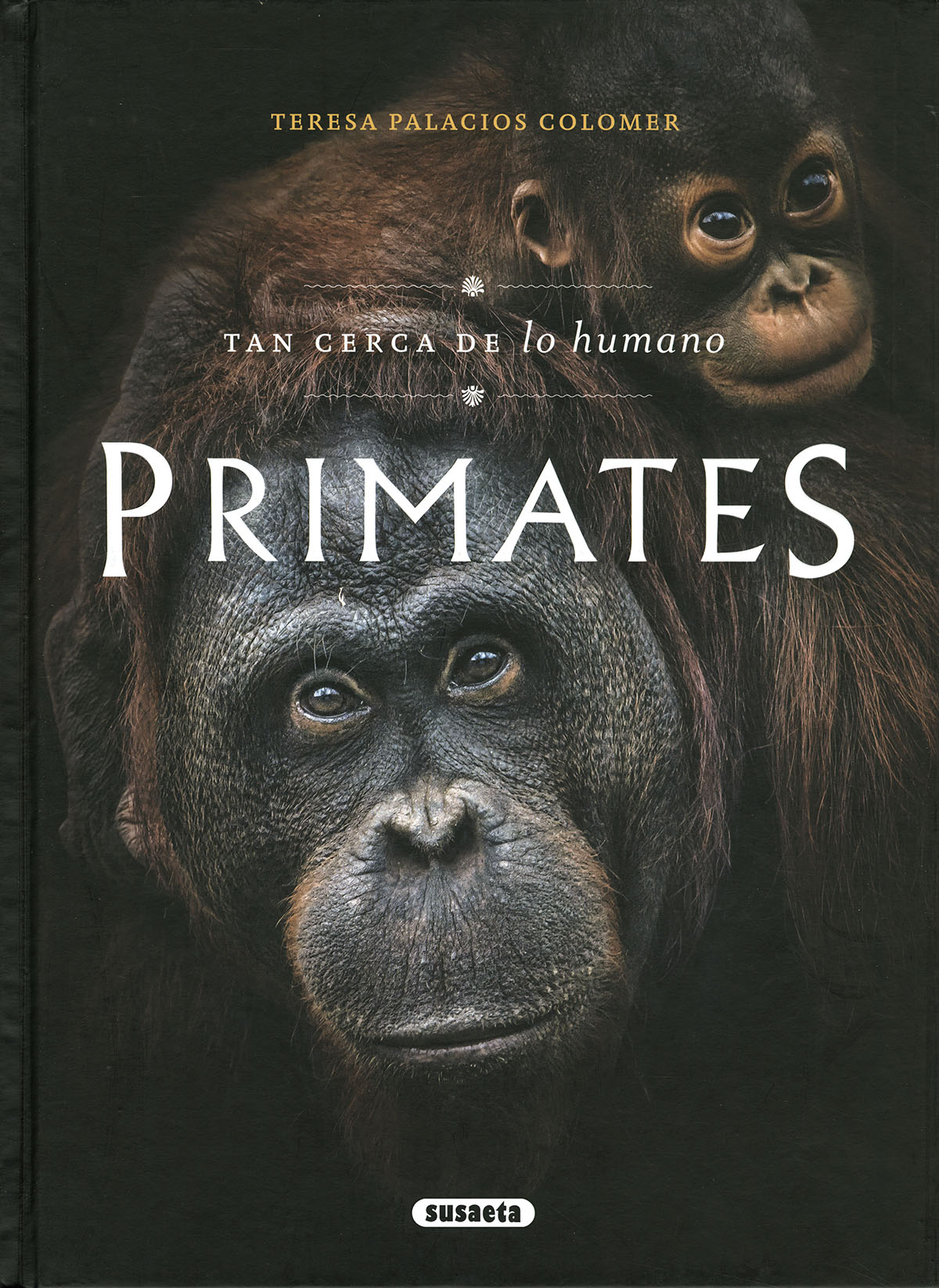 Primates. Tan cerca de lo humano