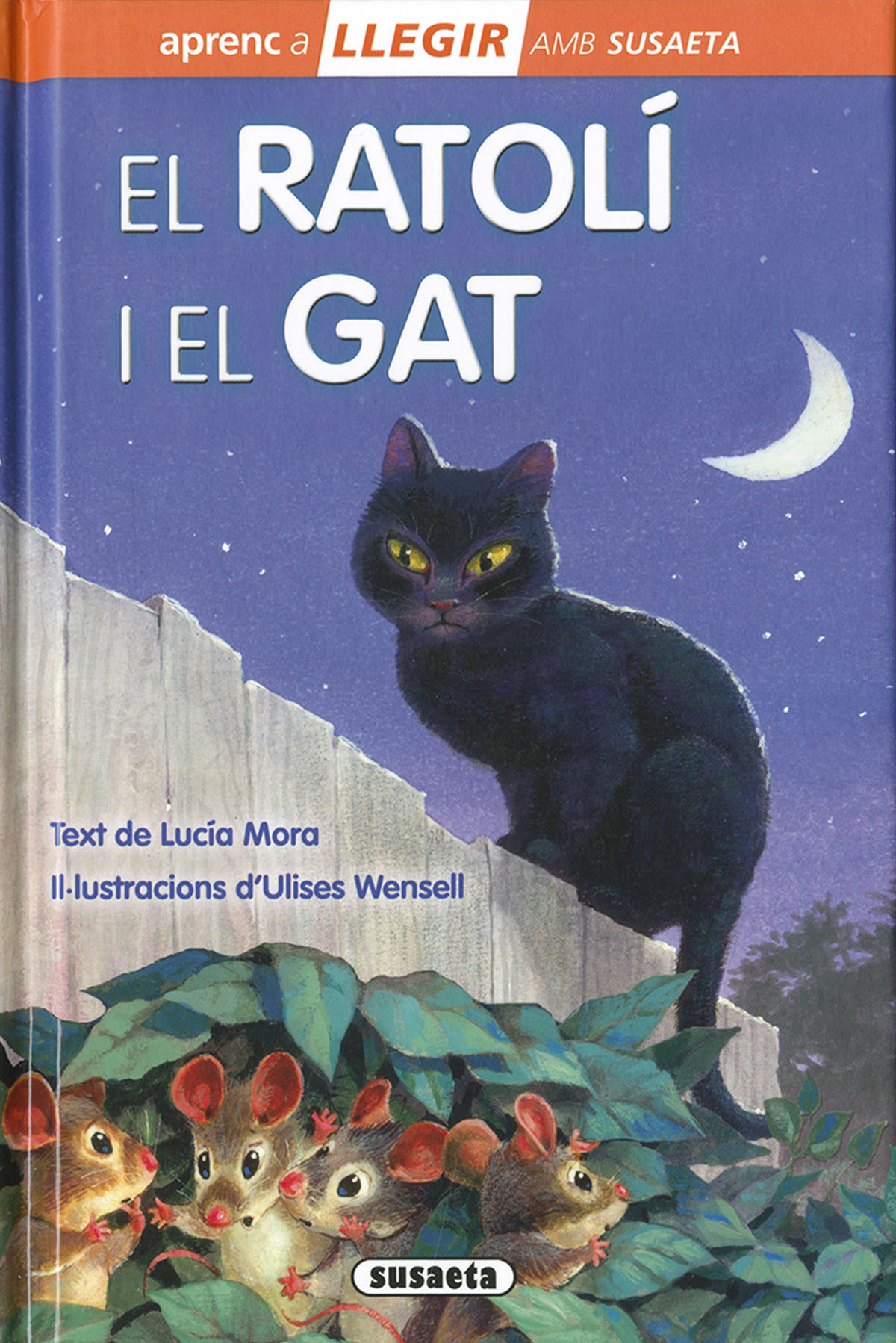 El ratolí i el gat
