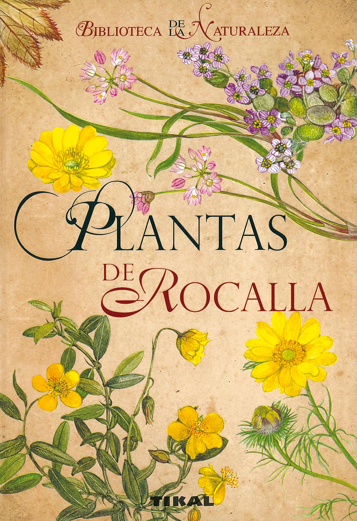 Plantas de rocalla