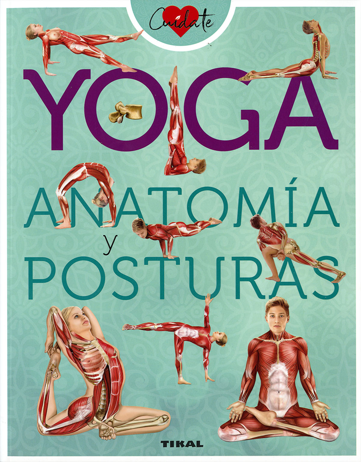 Yoga. Anatomía y posturas