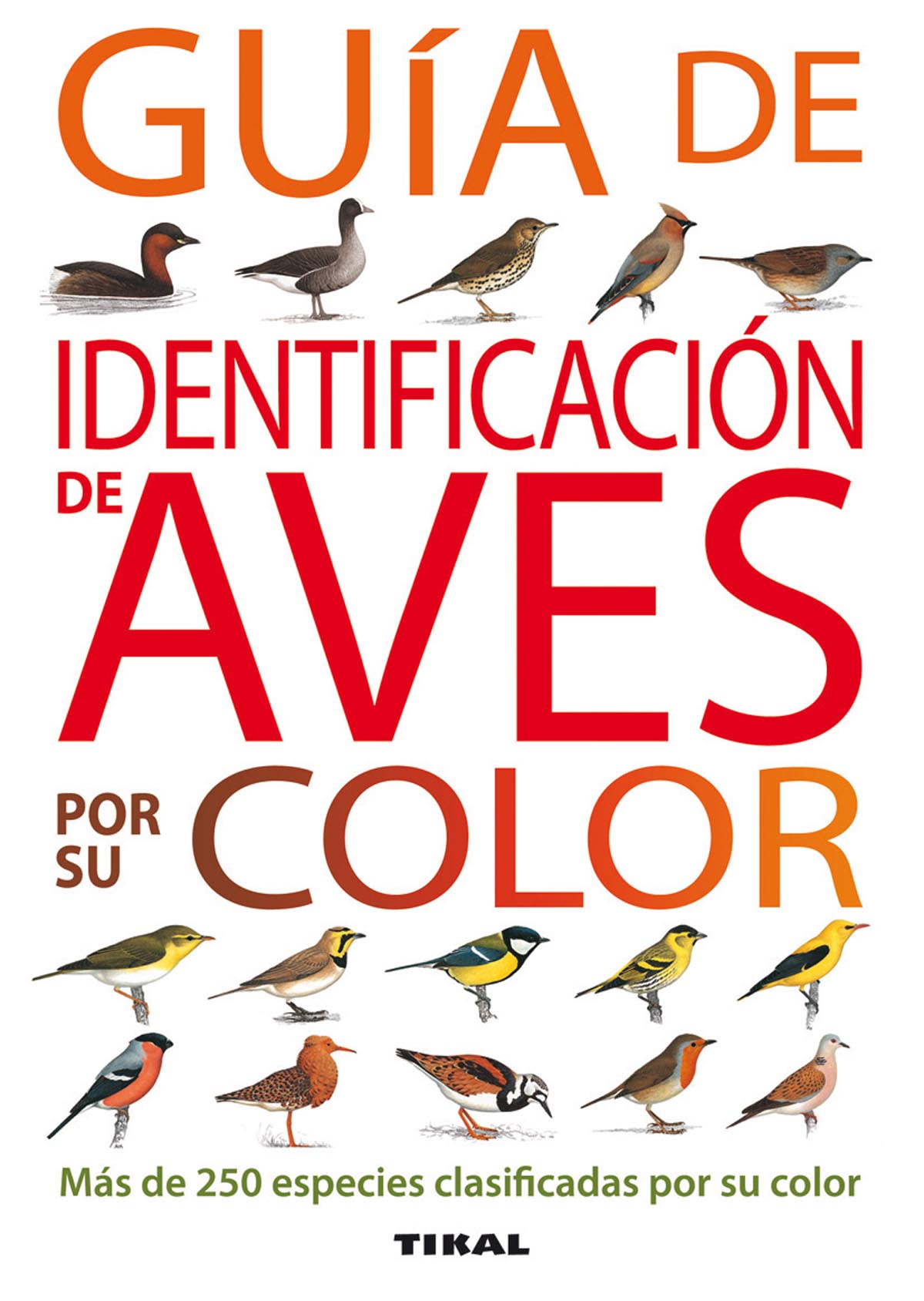 Guía de identificación de aves por su color