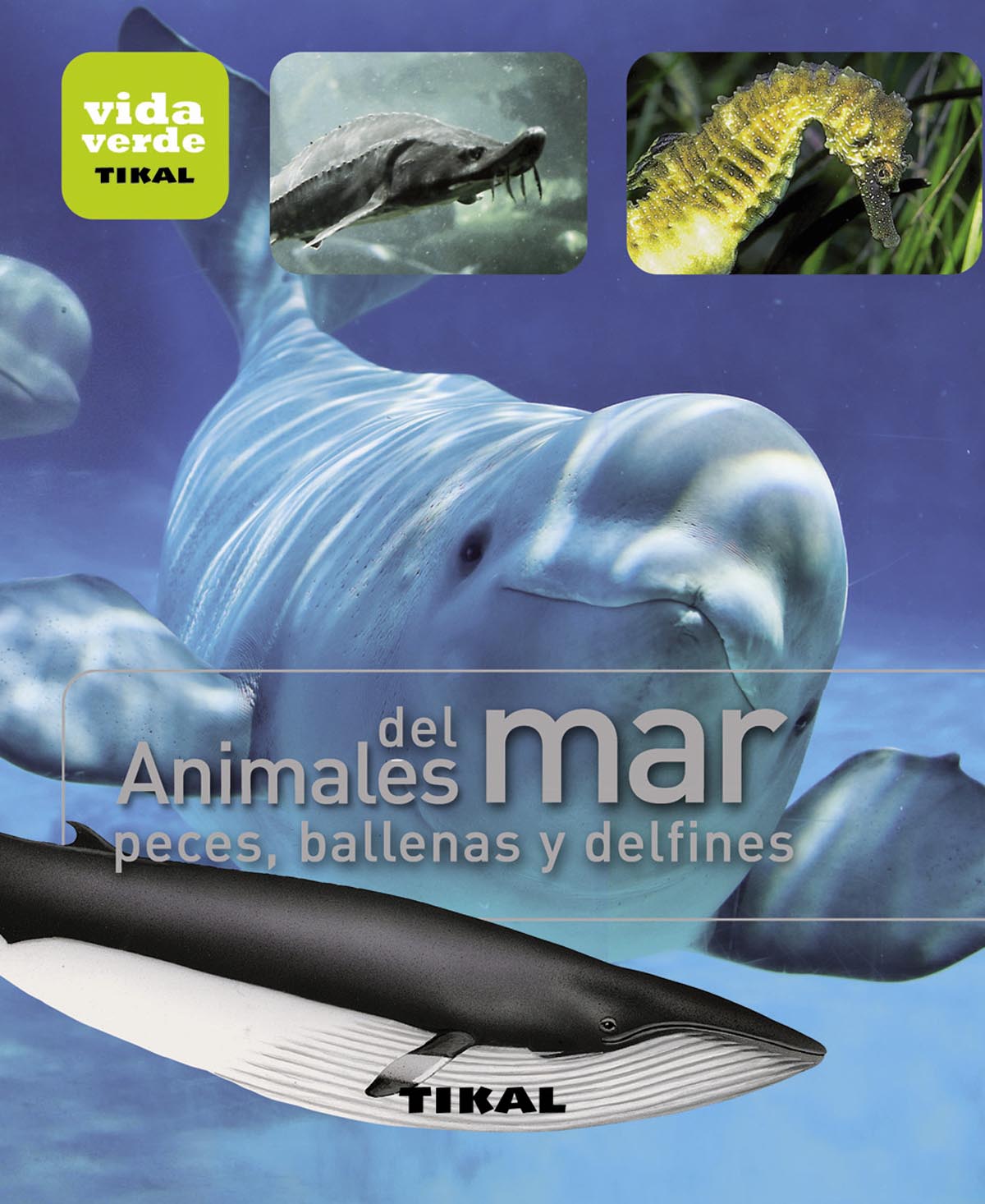 Animales del mar. Peces, ballenas y delfines