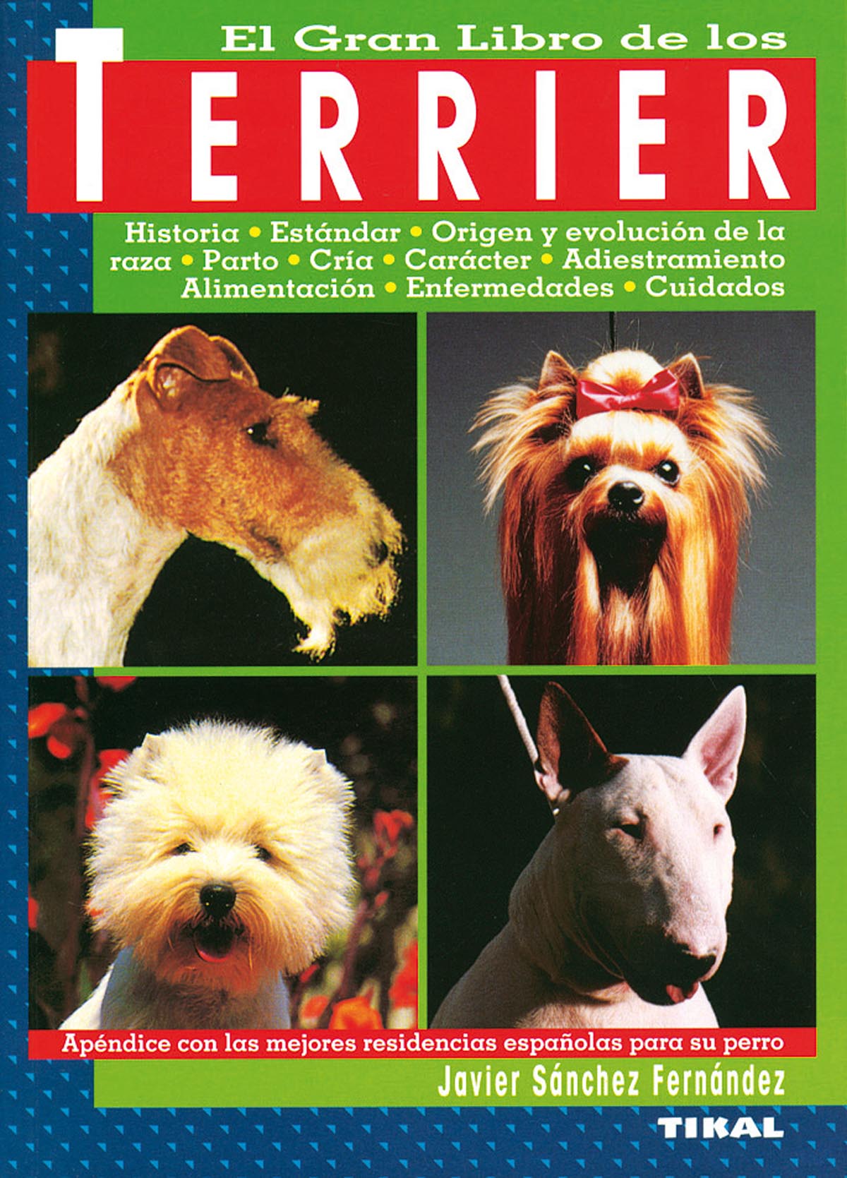 Terrier