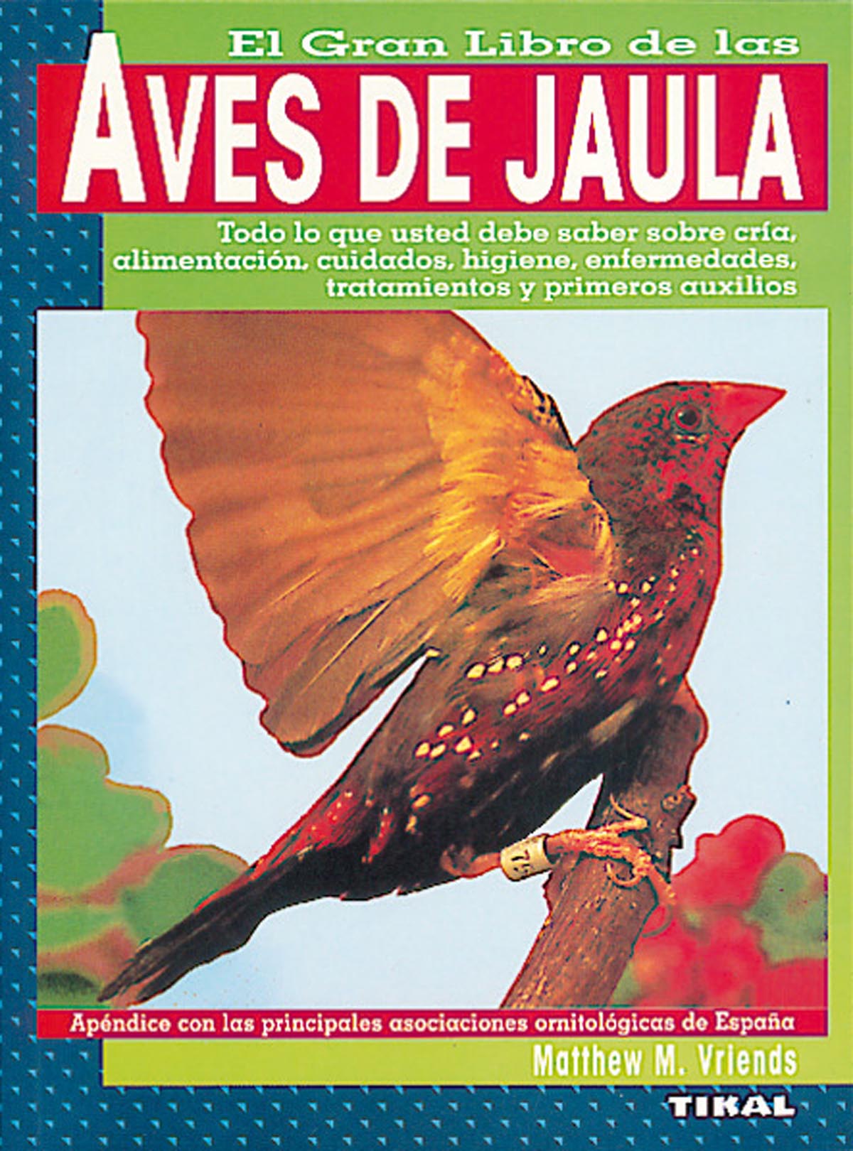 Aves de jaula