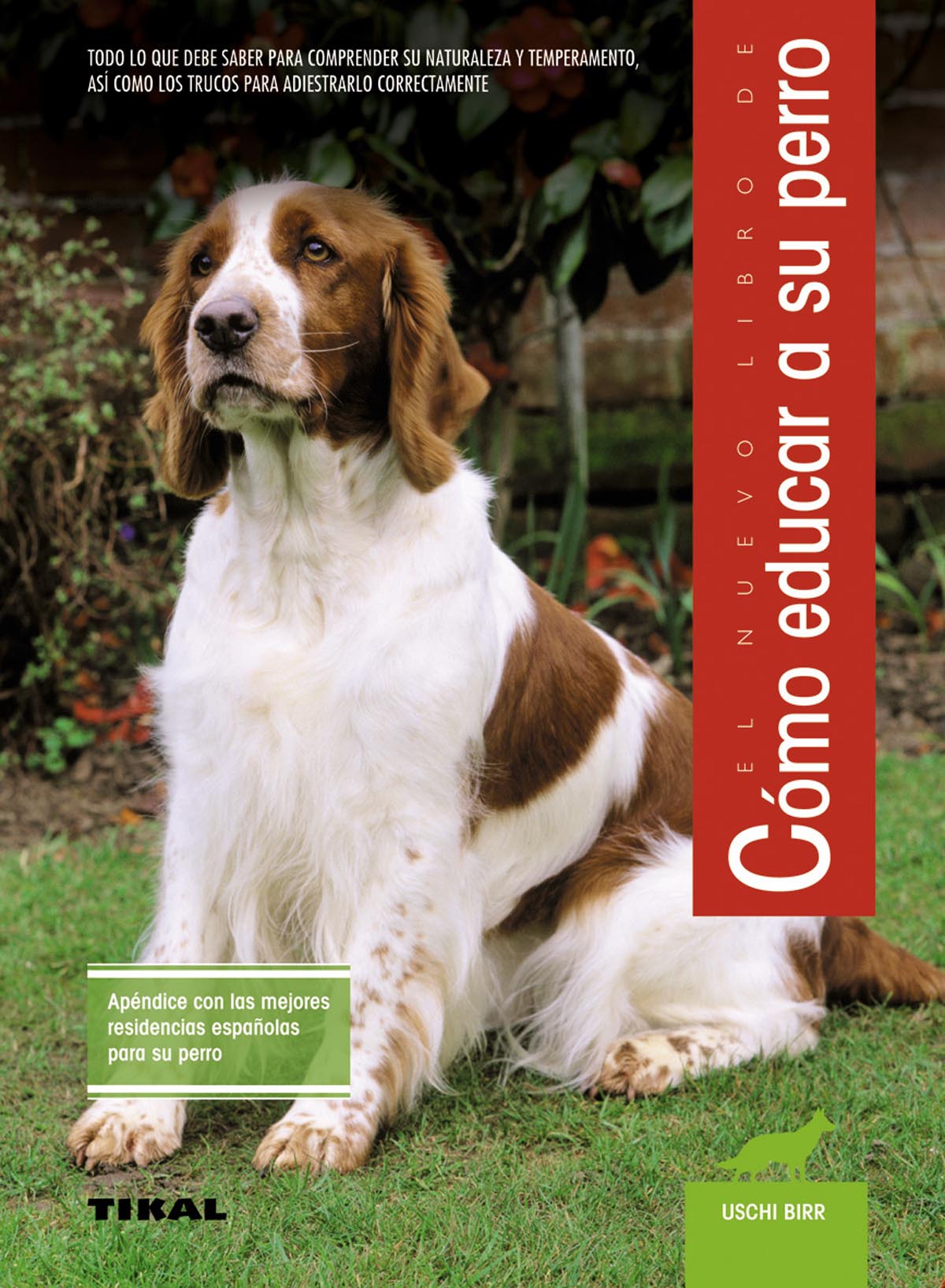 Cómo educar a su perro