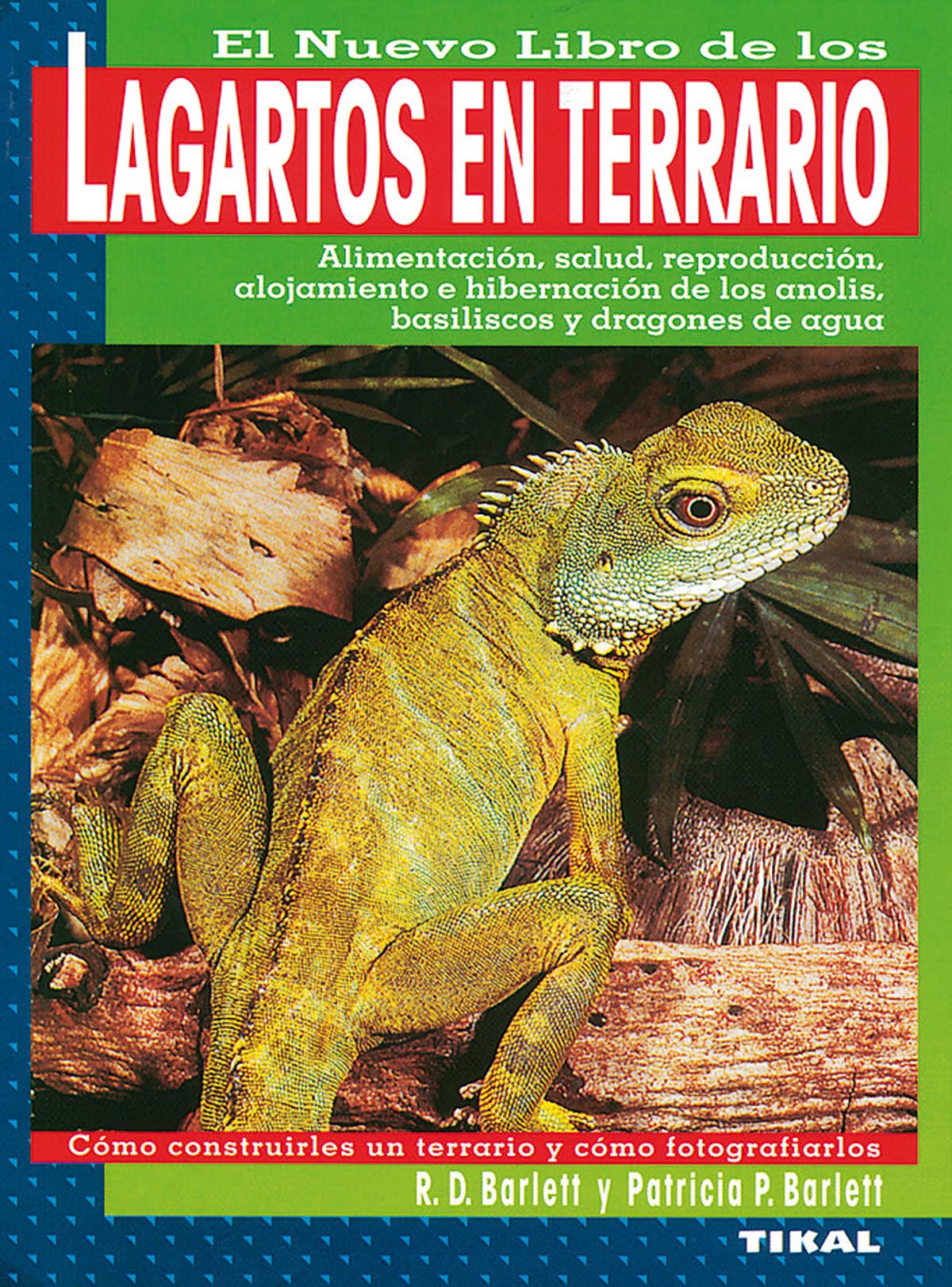 Lagartos en terrario