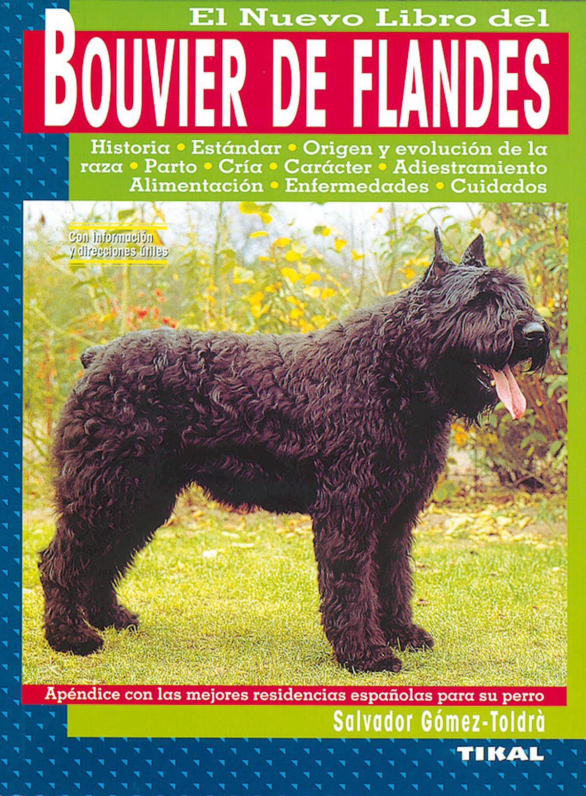 Bouvier de Flandes