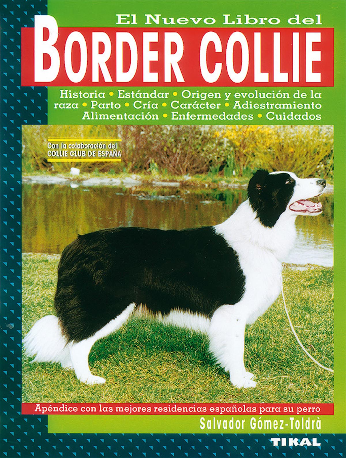 Border collie