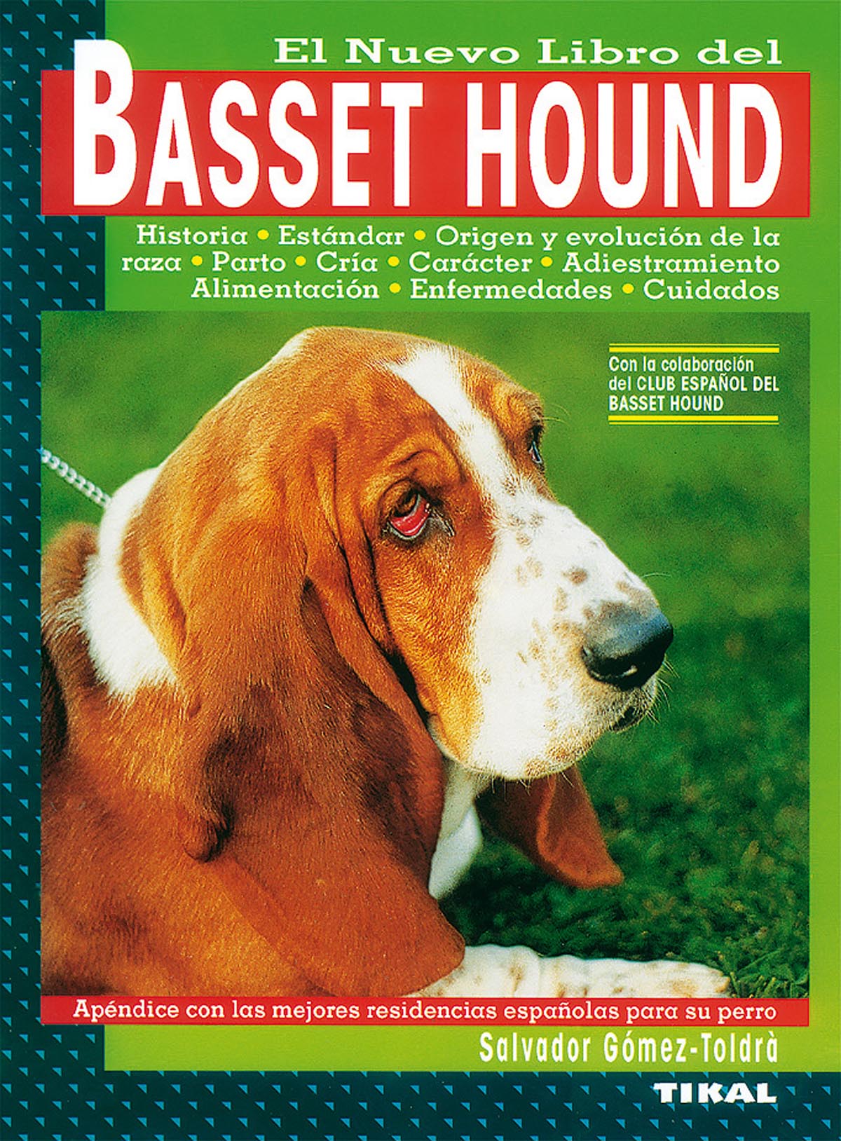 Basset hound