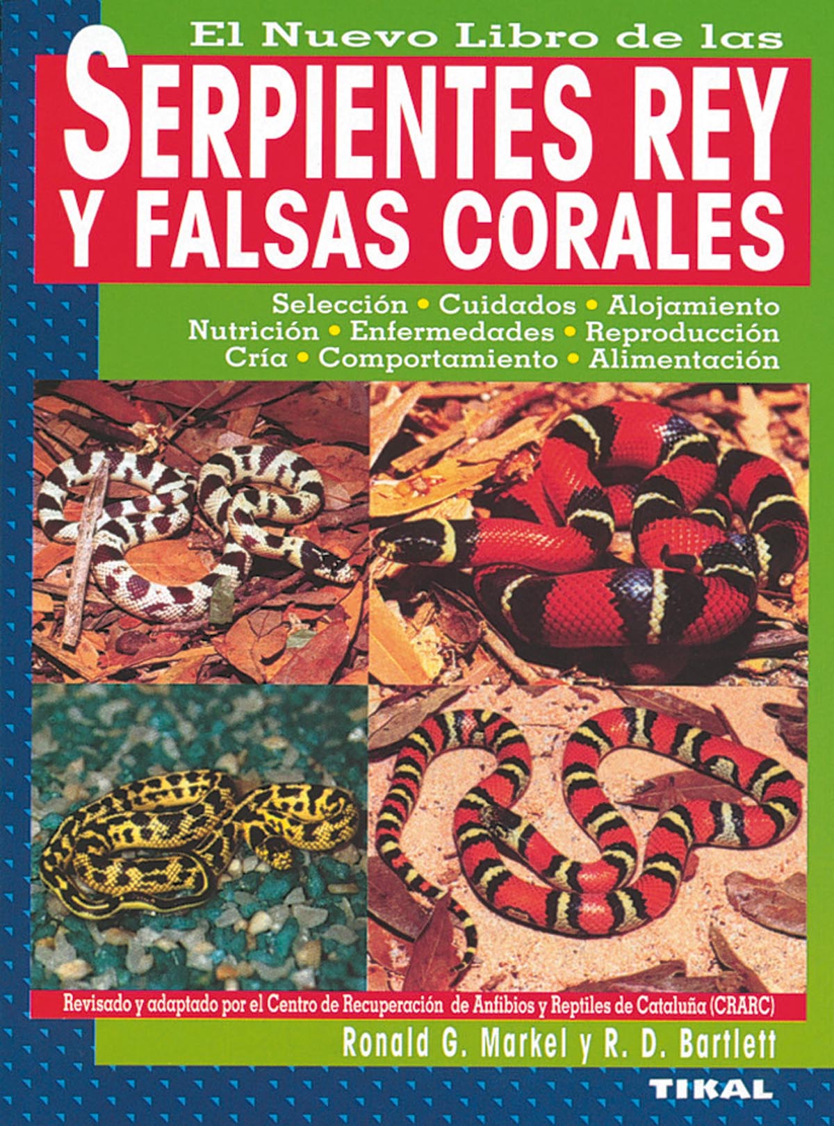 Serpientes rey y falsas corales