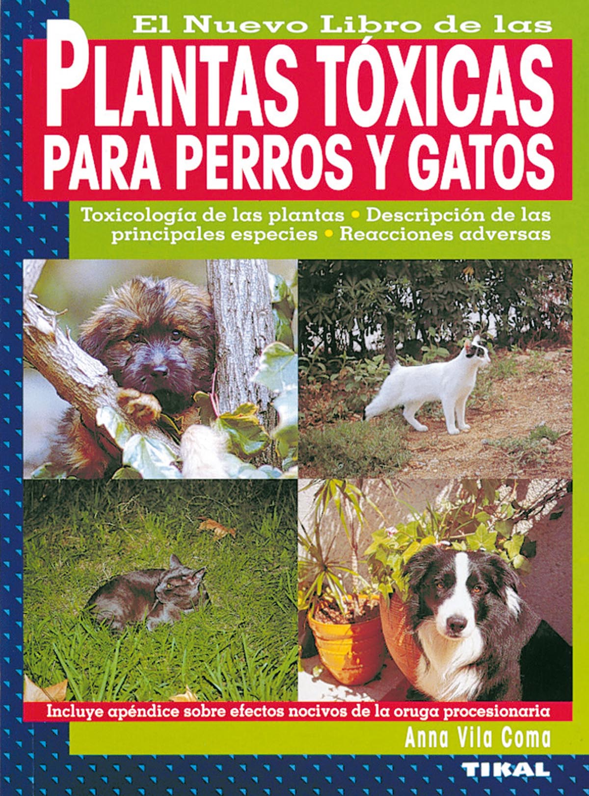 Plantas txicas para perros y gatos