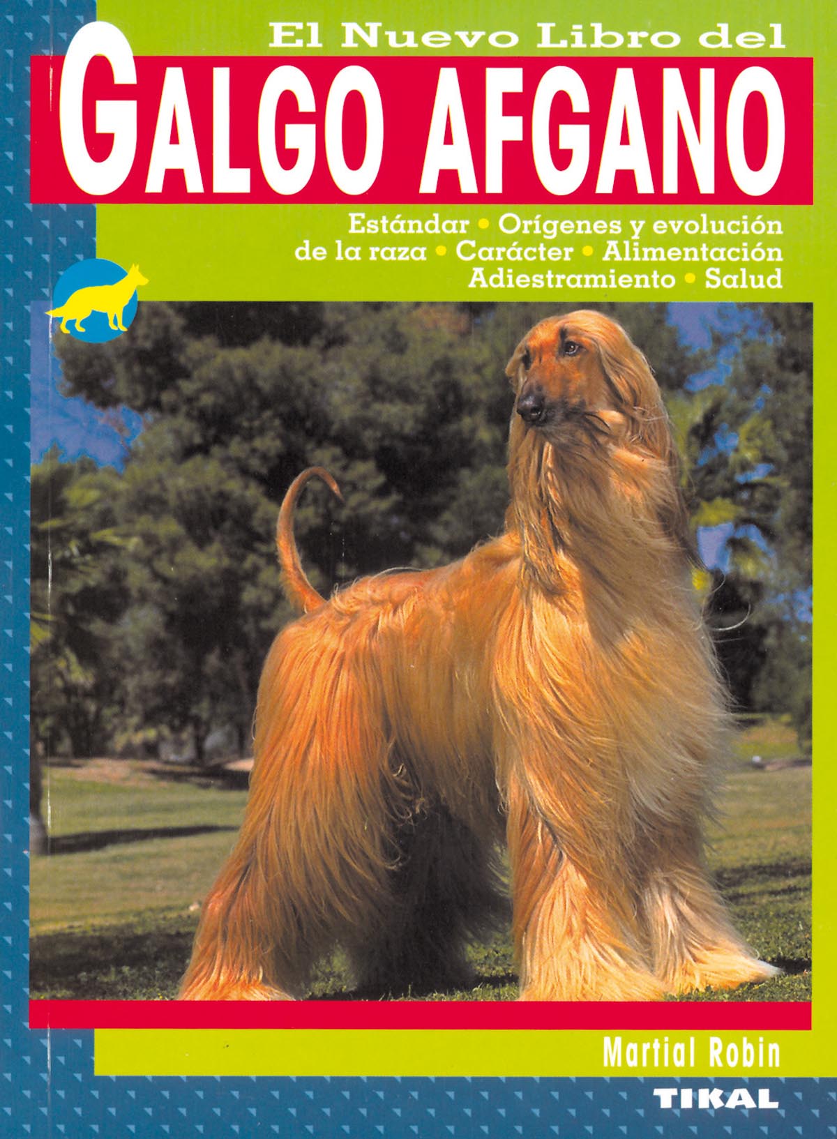 Galgo afgano