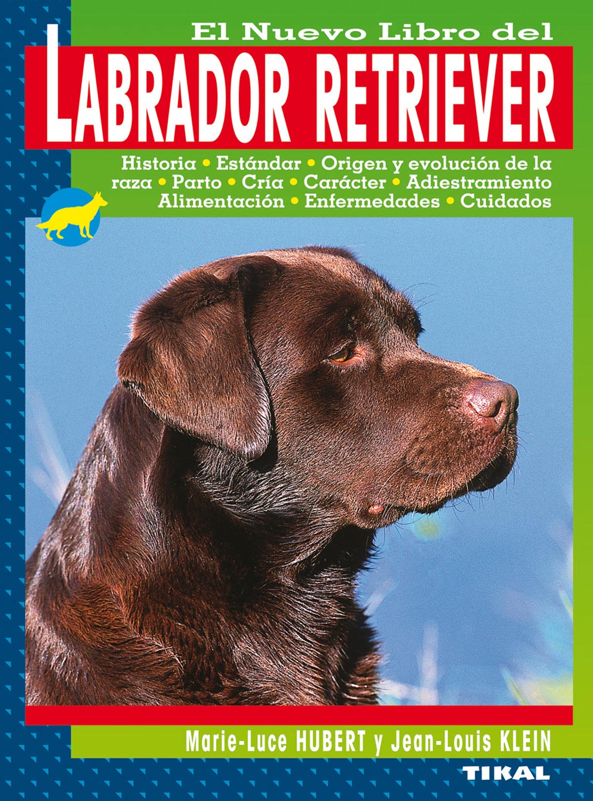 Labrador retriever