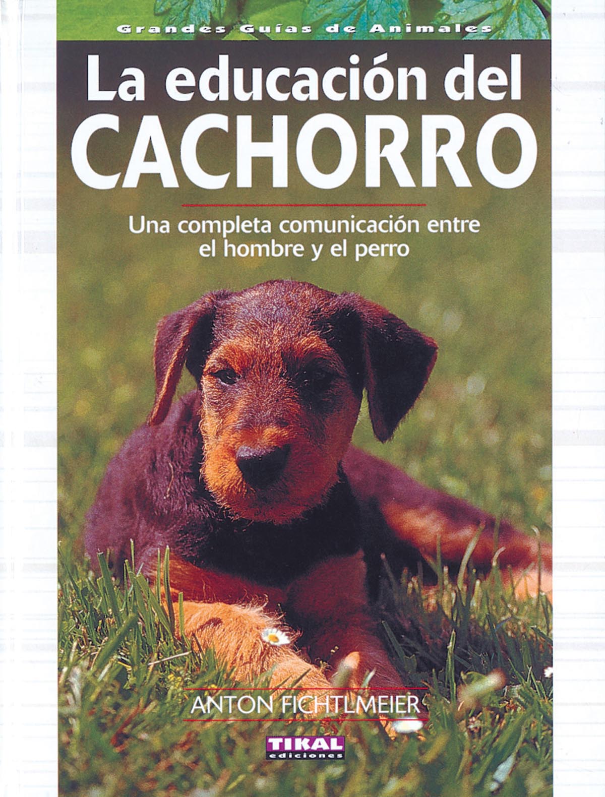 La educacin del cachorro